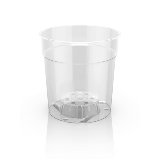 Pöppelmann Clear Orchid Container | Transparent Nursery Pot (TEKU MCO 12cm)