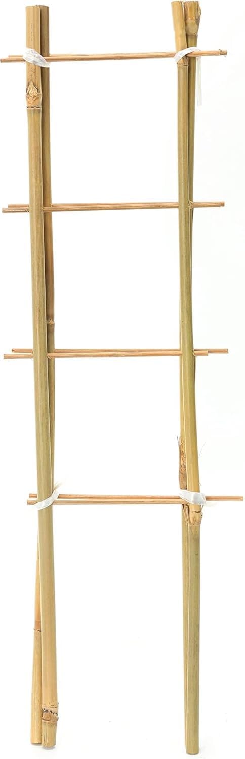 Bamboo Ladder – Plant Support